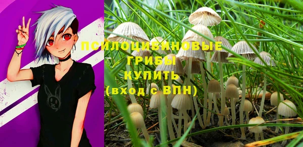 PSILOCYBIN Богородицк