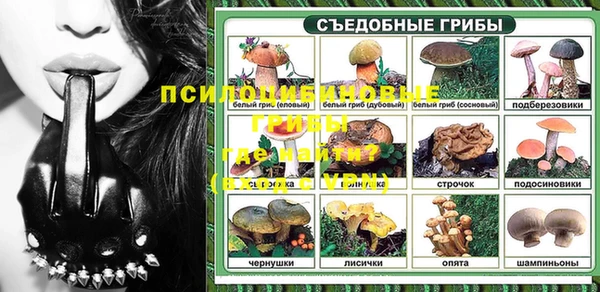 PSILOCYBIN Богородицк