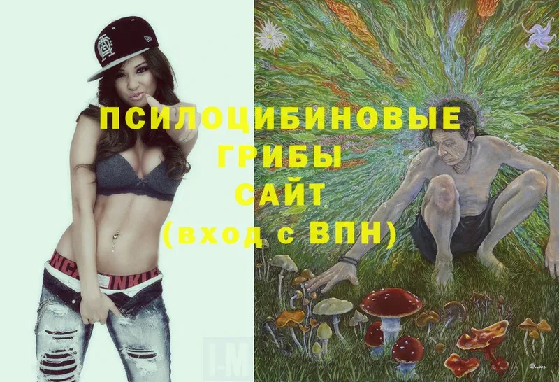 закладки  blacksprut маркетплейс  Псилоцибиновые грибы MAGIC MUSHROOMS  Разумное 